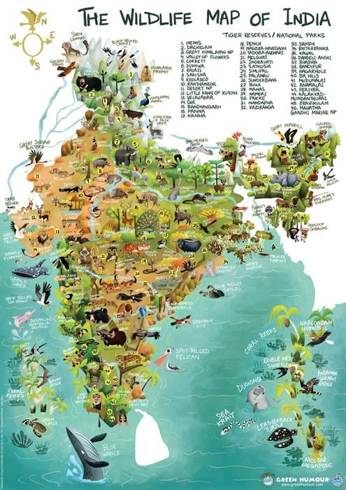 L'inde de la faune de la carte