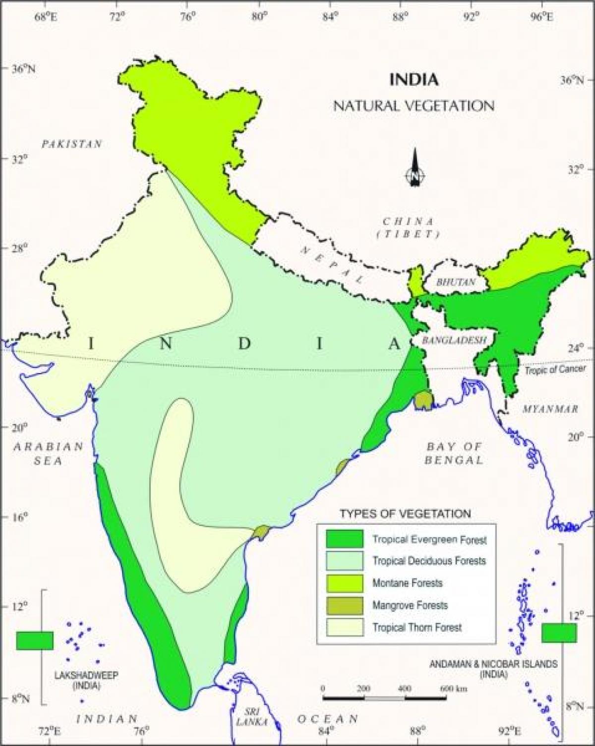 carte de la forêt de mangrove en Inde