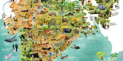 L'inde de la faune de la carte