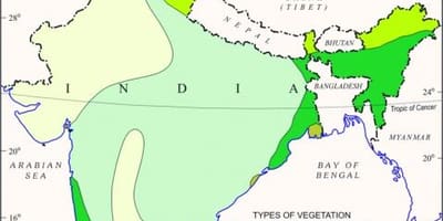Carte de la forêt de mangrove en Inde